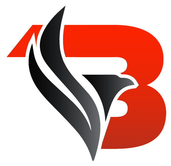 BORDER SECURITY Logo